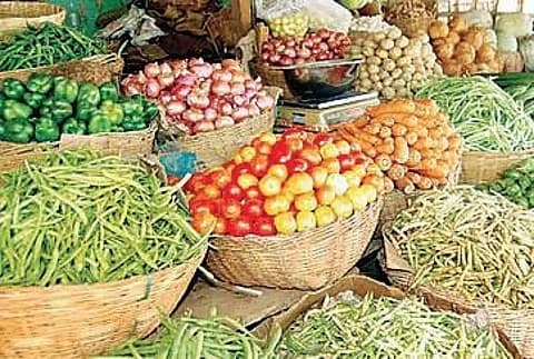 Fresh vegetable assortment from farm produce